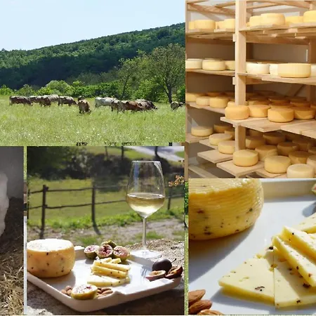 Semesteranläggning (resort) Clean-food & Lose-weight Active Butterfly Croatia Rovinjsko Selo