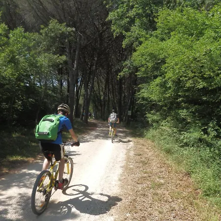 Clean-food & Lose-weight Active Butterfly Croatia 3*